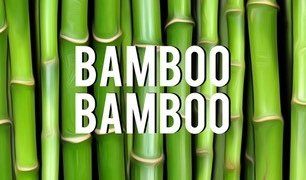 Bamboo - fleabite