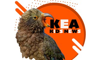 Kea Kids News