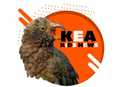 Kea Kids News