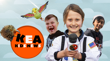 Kea Kids News