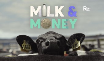Milk and money