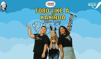 Toro like a Kaīroa