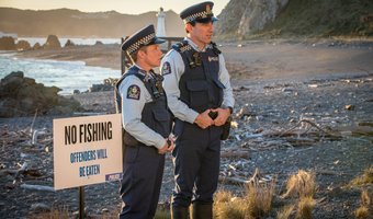 Wellington Paranormal