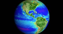 world image
